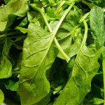 Kroketes spinach