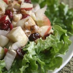 Festive salad with apple and kranmperis